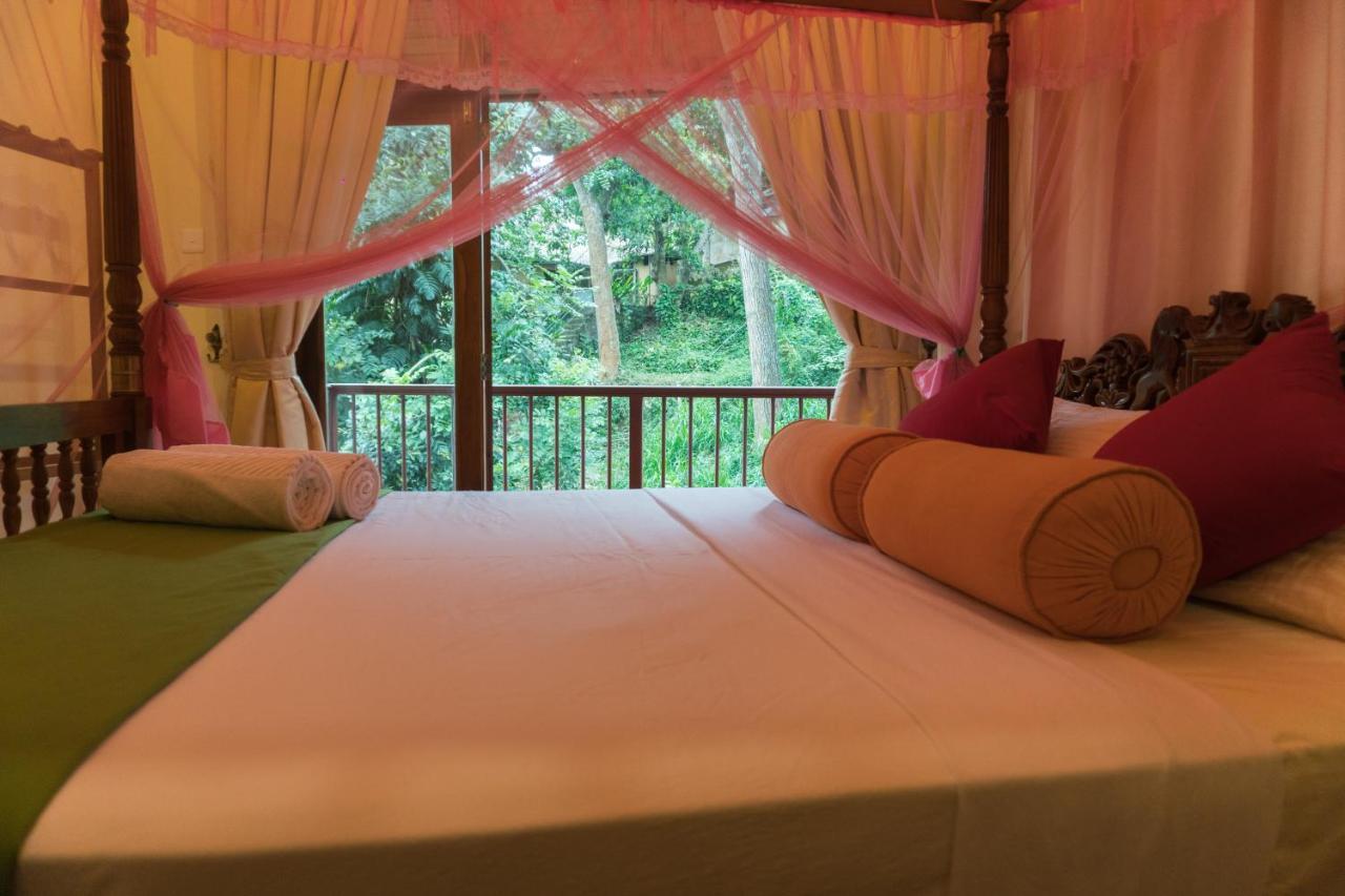 Aronka Homestay キャンディー エクステリア 写真